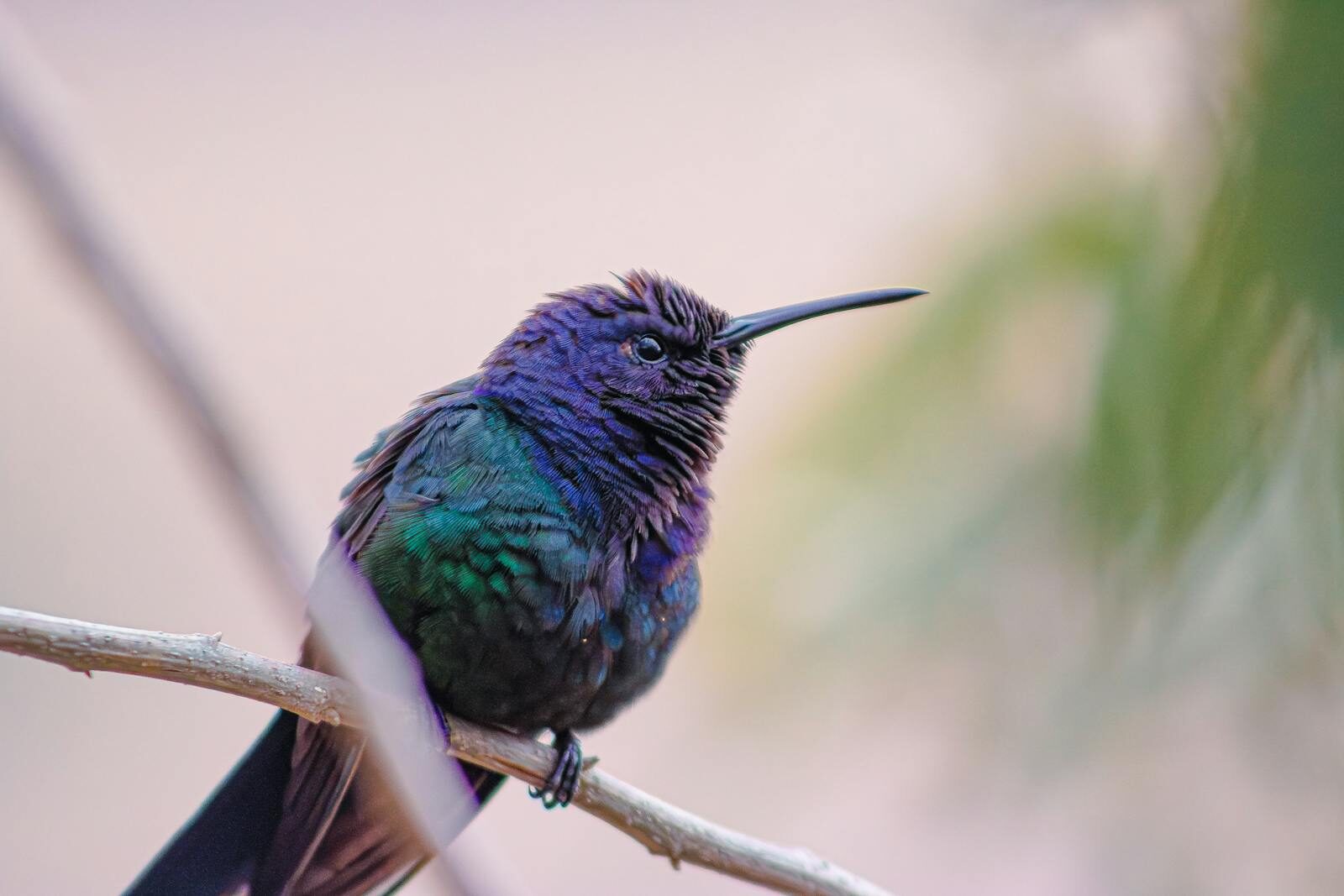 Negligence Per Se in Environmental Law