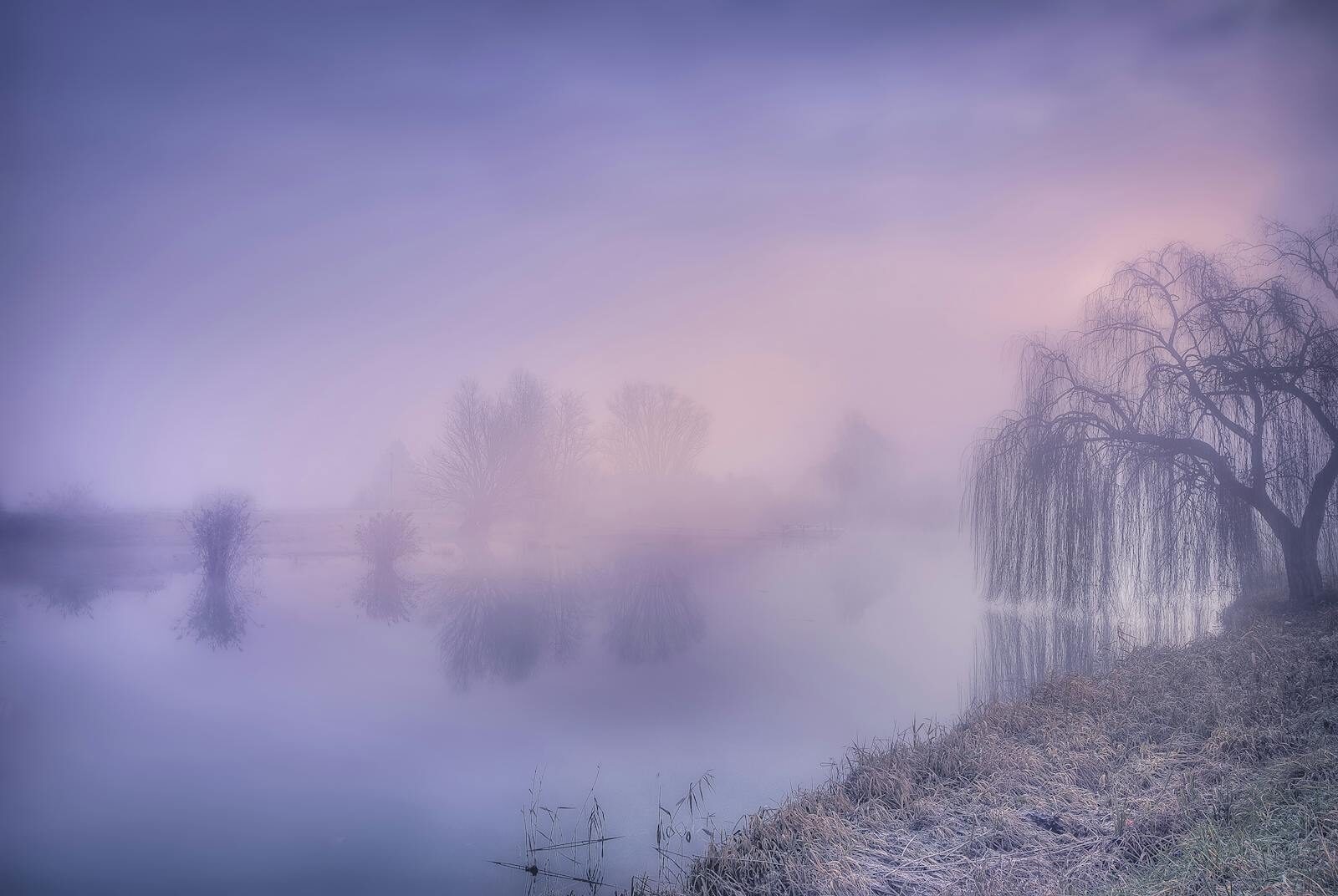 Last Clear Chance & Assumption of Risk